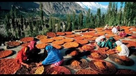 120 il yaşayıb, 70 YAŞINDA ANA OLAN türk tayfası