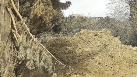 Sabunçu rayonunda canlı aləm diri-diri basdırılır – FOTOLAR
