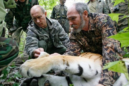 Putinin qeyri-adi