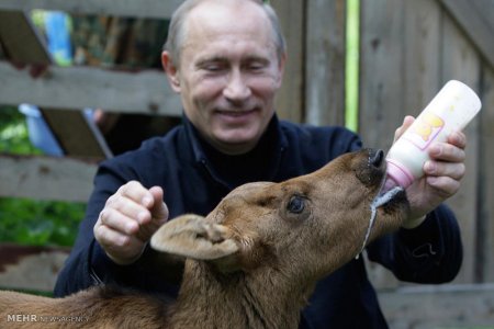 Putinin qeyri-adi
