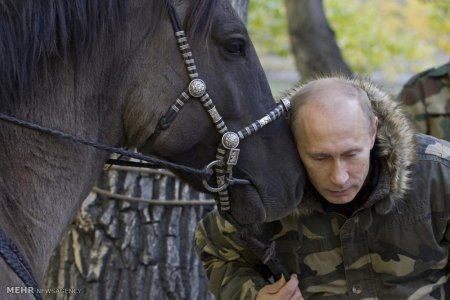 Putinin qeyri-adi
