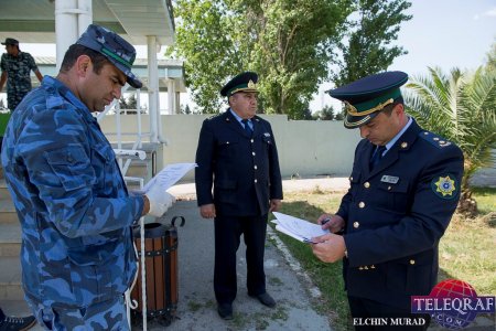 Azərbaycanın 10 ölkəyə verdiyi xüsusi itlər... – 