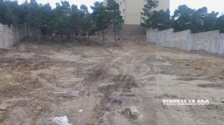 Abutalıbovun hasarlatdığı 2 hektarlıq meşəyə görə materiallar prokurorluğa göndərildi