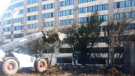 Xaləddin İsgəndərovun havadarlıq etdiyi “qoçu” dəstəsi haqda 