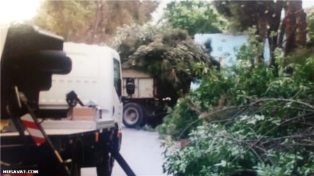 Xaləddin İsgəndərovun havadarlıq etdiyi “qoçu” dəstəsi haqda 