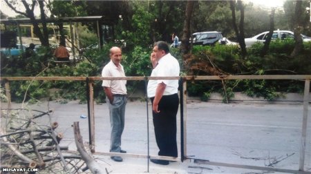 Xaləddin İsgəndərovun havadarlıq etdiyi “qoçu” dəstəsi haqda 