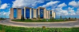 Azad Rəhimovun adamının “Buta Palace”da maxinasiyaları - İTTİHAM+FOTO