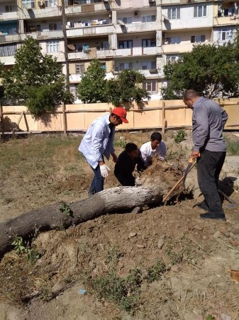 Hüseynqulu Bağırovdan fərqli olaraq Muxtar Babayev təbiətə biganədir – reallıqlar, faktlar – FOTO, VİDEO