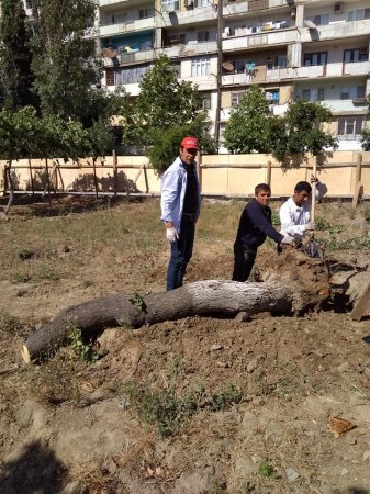 Hüseynqulu Bağırovdan fərqli olaraq Muxtar Babayev təbiətə biganədir – reallıqlar, faktlar – FOTO, VİDEO