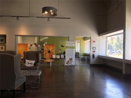 San-Fransiskoda it oteli: cakuzisi də var, plazma televizoru da... -  