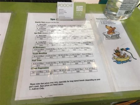 San-Fransiskoda it oteli: cakuzisi də var, plazma televizoru da... -  