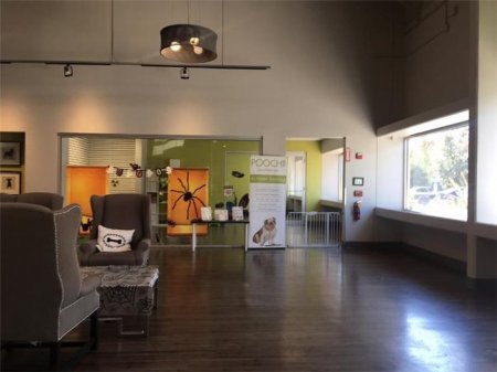 San-Fransiskoda it oteli: cakuzisi də var, plazma televizoru da... -  