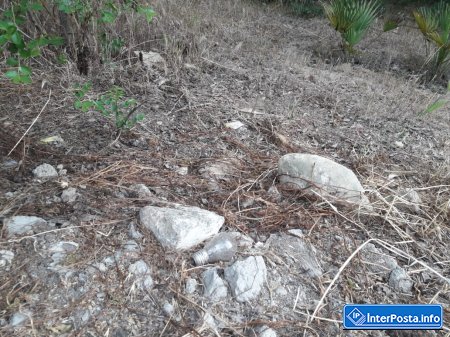 Mərdəkan Dendrarisində bataqlığı xatırladan hovuzlar- 