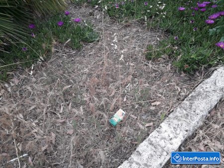 Mərdəkan Dendrarisində bataqlığı xatırladan hovuzlar- 