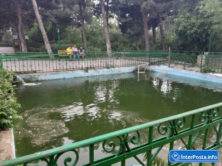 Mərdəkan Dendrarisində bataqlığı xatırladan hovuzlar- 