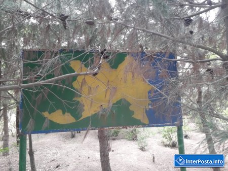 Mərdəkan Dendrarisində bataqlığı xatırladan hovuzlar- 