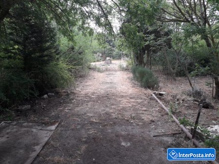 Mərdəkan Dendrarisində bataqlığı xatırladan hovuzlar- 