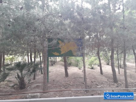 Mərdəkan Dendrarisində bataqlığı xatırladan hovuzlar- 