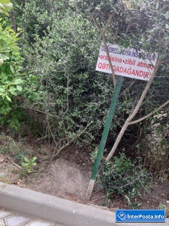Mərdəkan Dendrarisində bataqlığı xatırladan hovuzlar- 