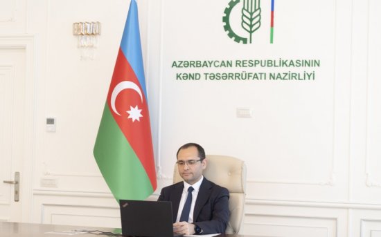 Rusiyanın aparıcı taxıl ixracatçılarından ibarət missiya Azərbaycana gələcək

 