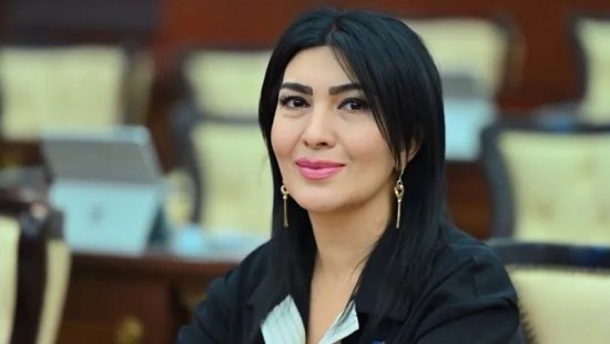 Deputat Milli Məclisdə Elgün İbrahimovun faciəsindən danışdı