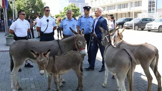 Parlamentdə eşşəklərlə etiraz: Spiker 41-ci iclasda da seçilmədi (FOTO)
 